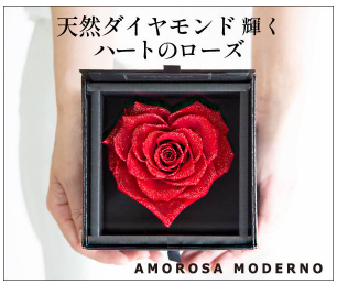 AMOROSA MODERNO X